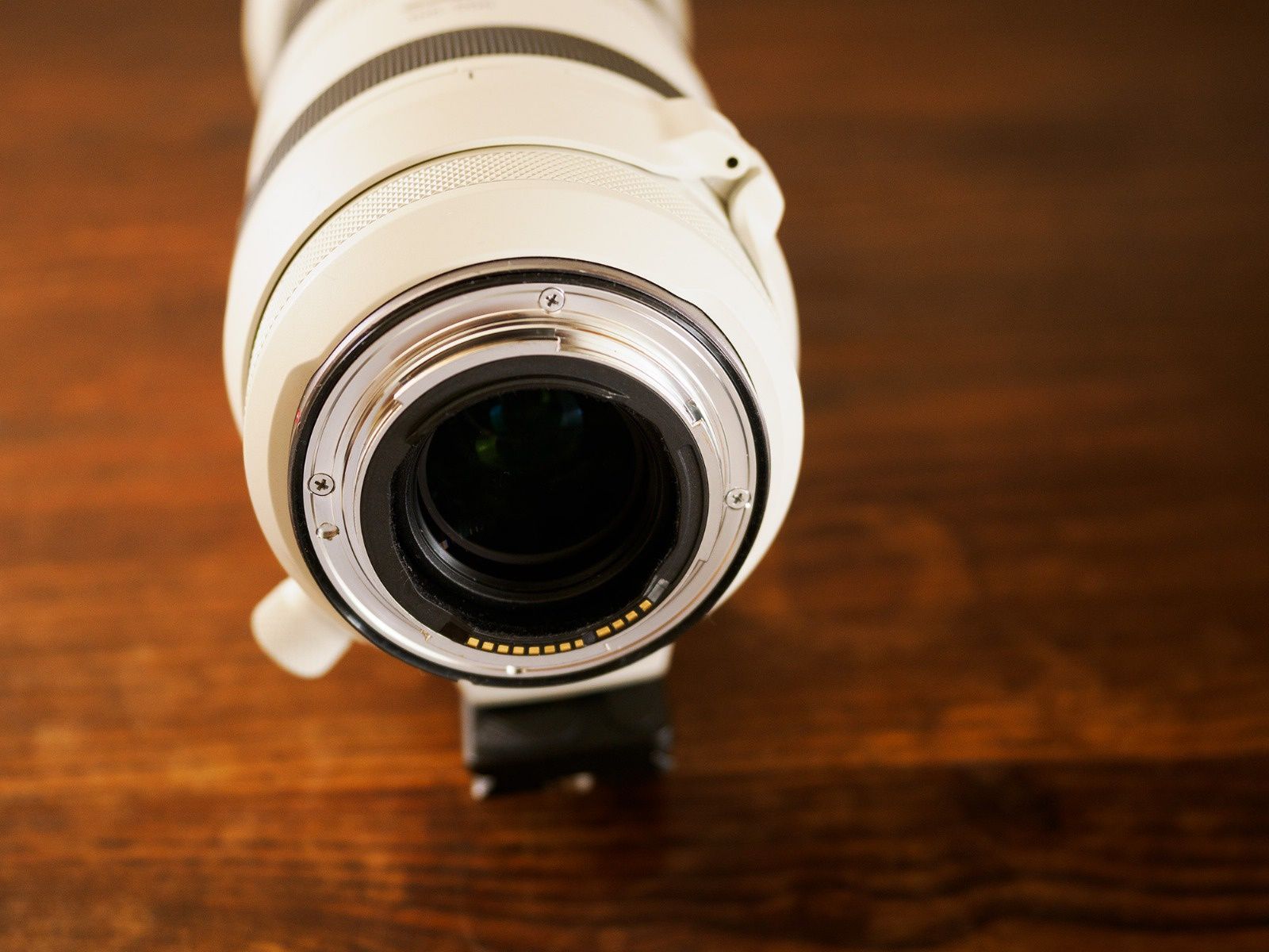 Objetiva Canon RF 100-500mm F4.5-7.1L IS USM