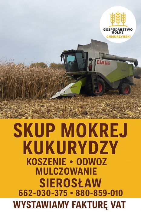 siew zbóz strip till, rozsiewanie wapna, koszenie oraz skup kukurydzy