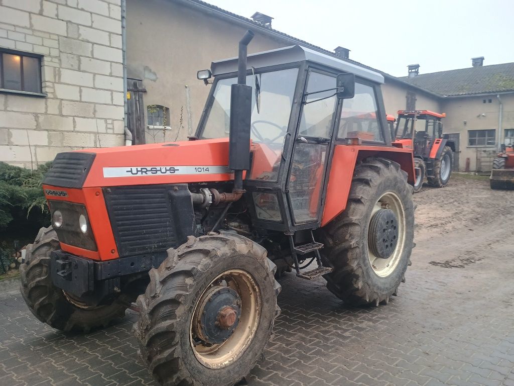 Ursus 1014 zarejestrowany