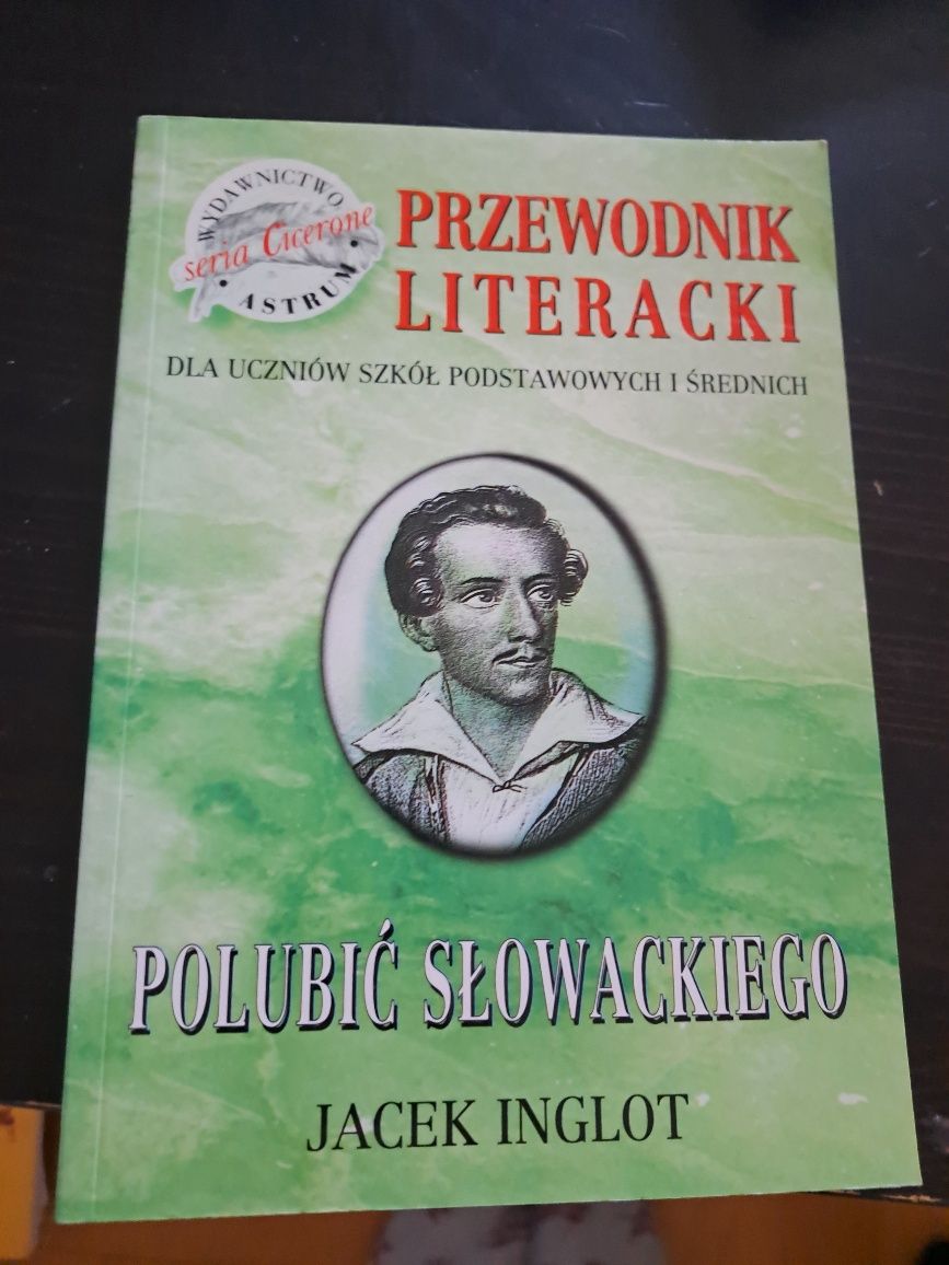 Jak nowa ksiazka Przewodnik literacki Polubic Slowackiego
