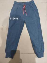 Spodnie dresowe dziewczece 116