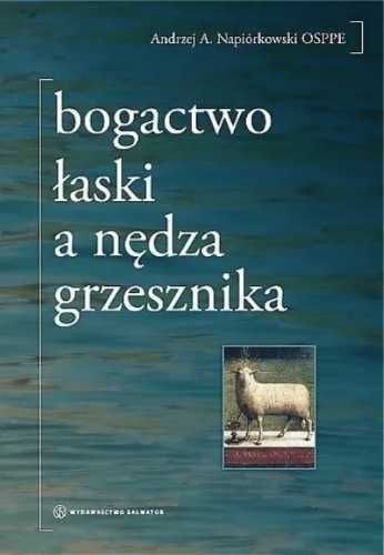 Bogactwo łaski a nędza grzesznika - Andrzej A. Napiórkowski OSPPE
