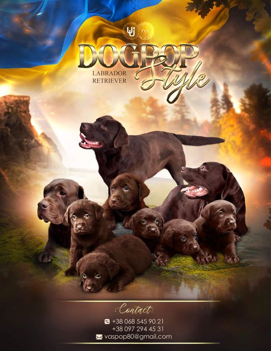 Лабрики темний шоколад