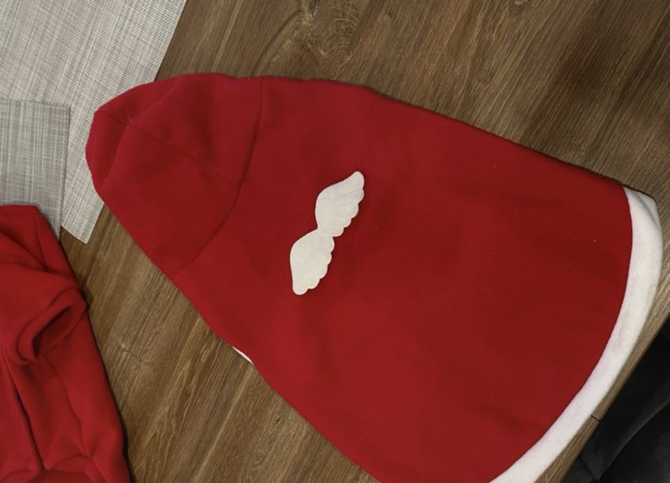 Świąteczne ubranko dla psa.