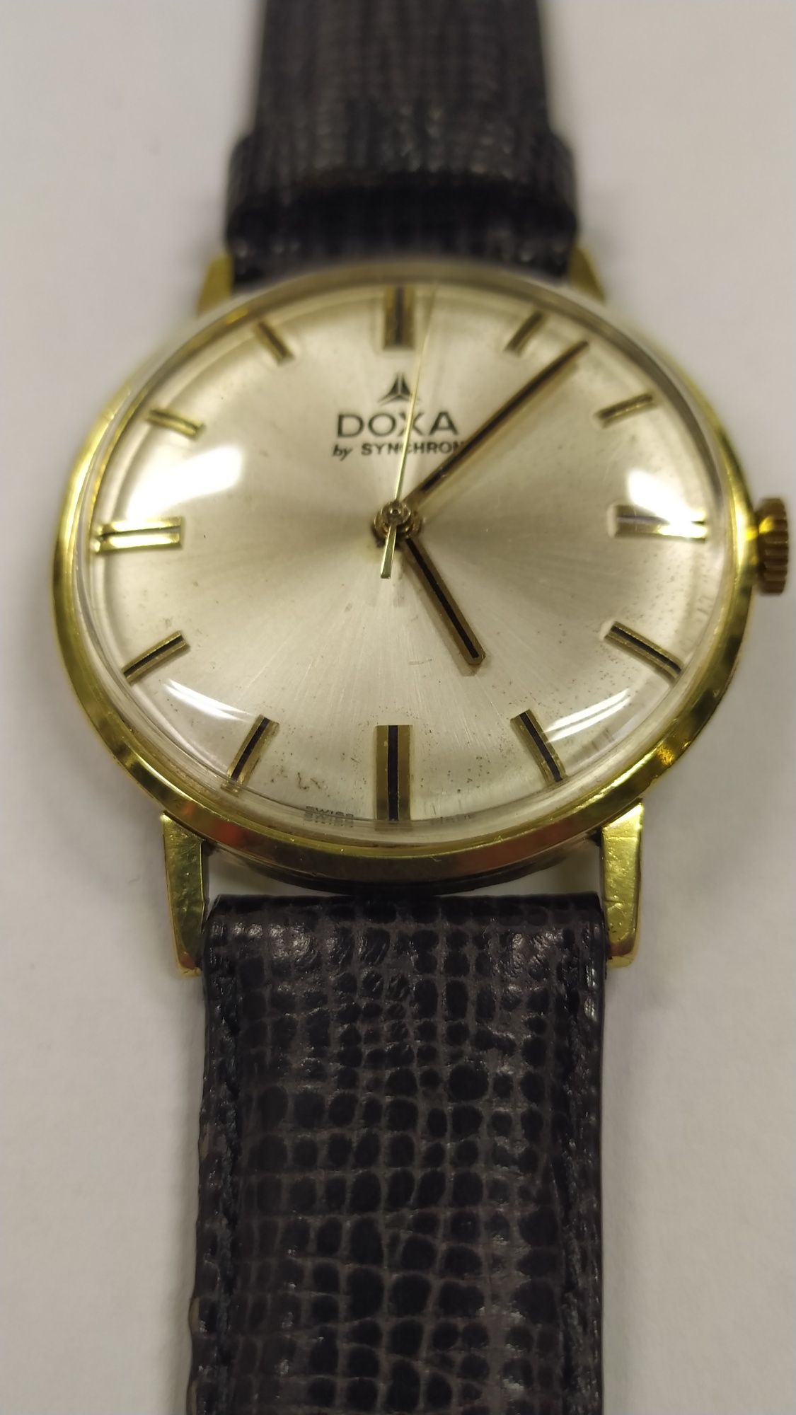 Doxa by Synchron