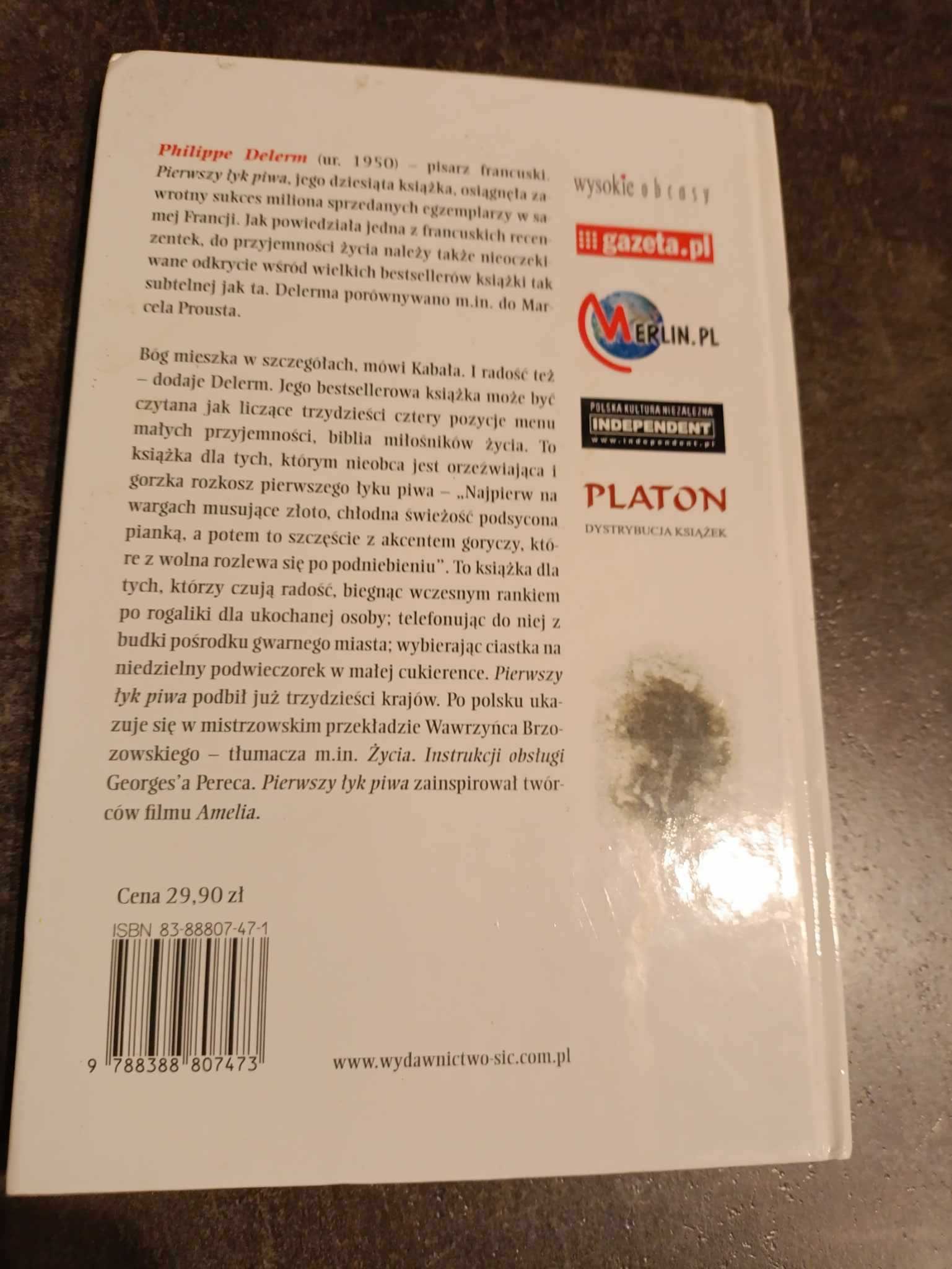 Pierwszy łyk piwa i inne przyjemności - Philippe Delerm