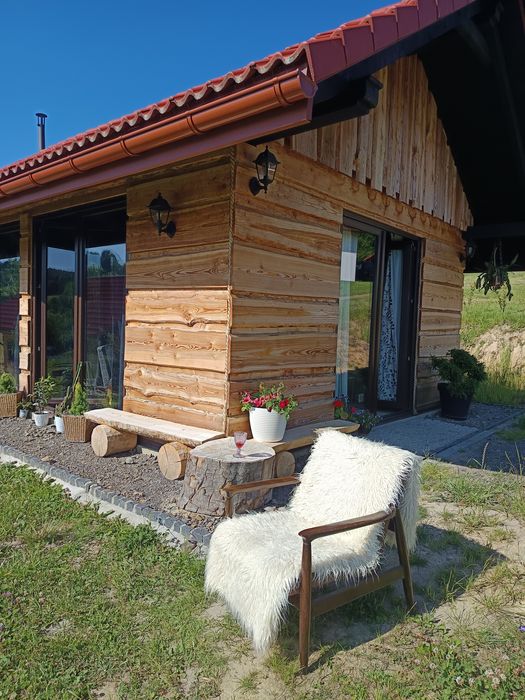 Domki w Bieszczadach noclegi Bieszczady ,, Dzika Jabłoń,,
