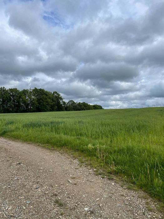 Działki budowlano-usługowe