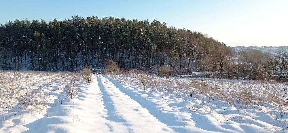 Ділянка 10сот.с.Селисько 14км.до м.Львів Солонківське ОТГ