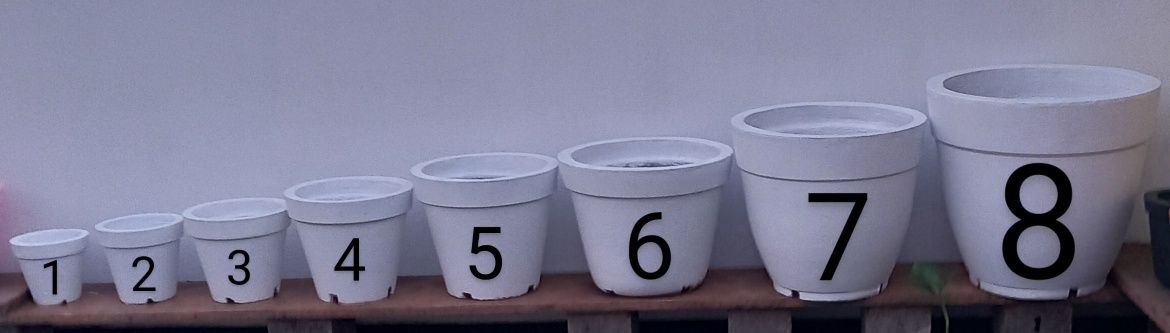 Vasos de Cimento