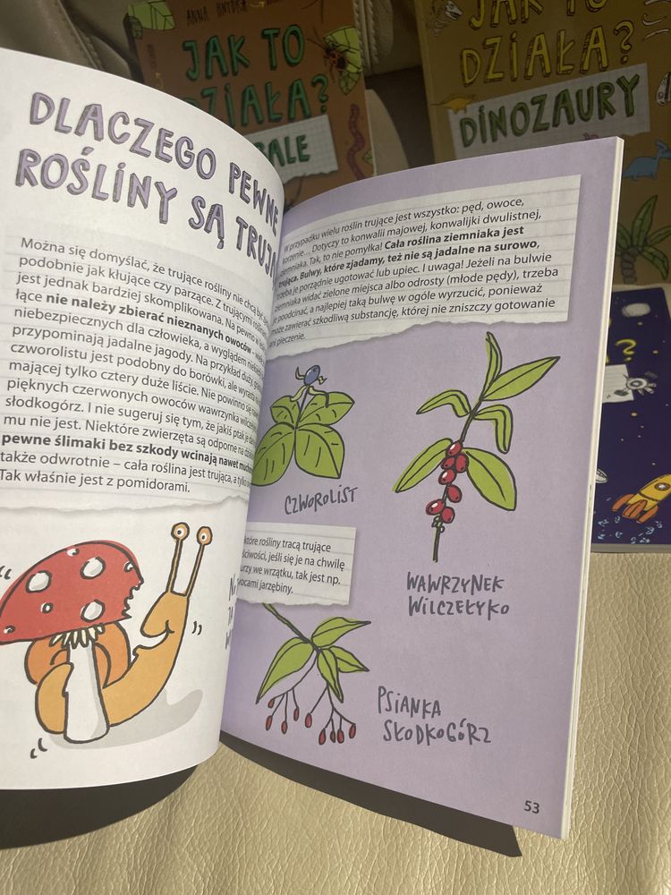 Jak to działa? Książki edukacyjne Dinozaury Robale Kosmos