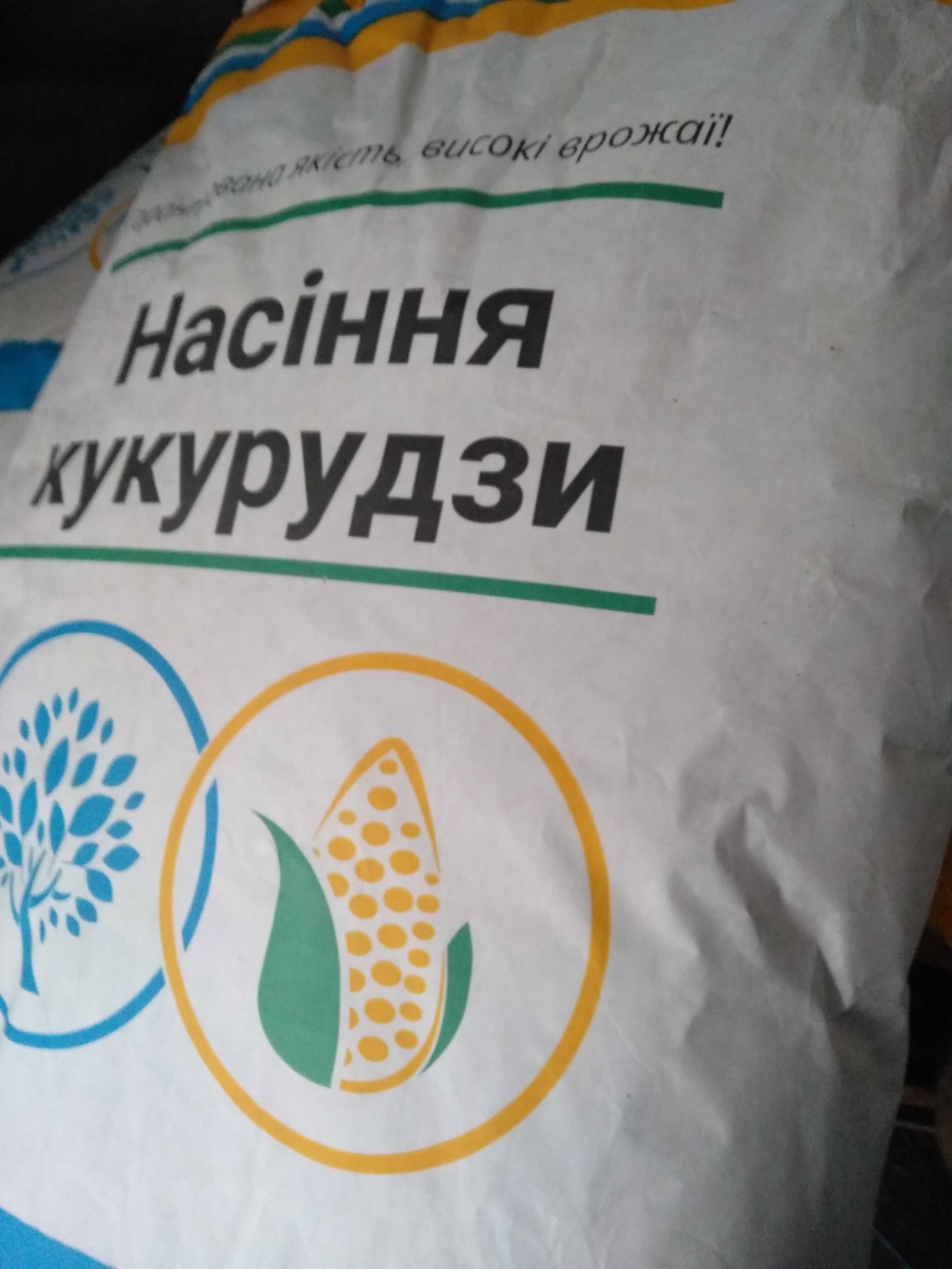 Семена Кукурузы Любава ,Солонянский