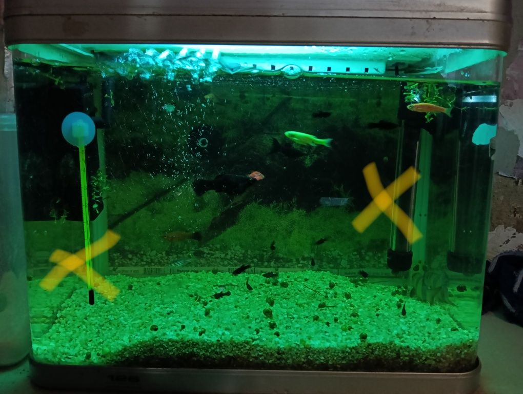 Akwarium 30 litrów
