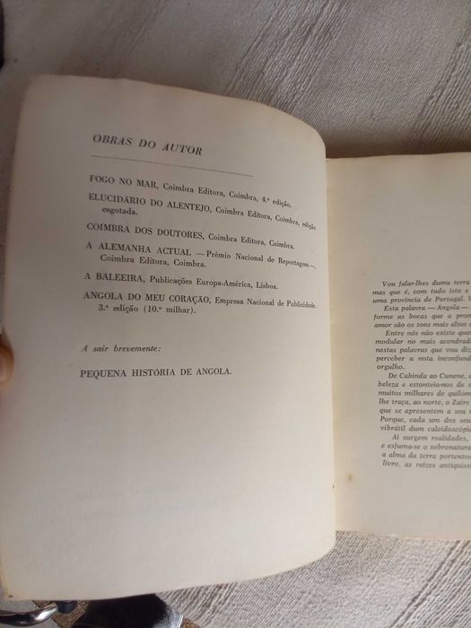 Livro de João Falcato Raízes de Angola