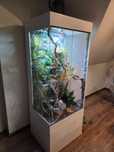 Ekskluzywne terrarium dla kameleona