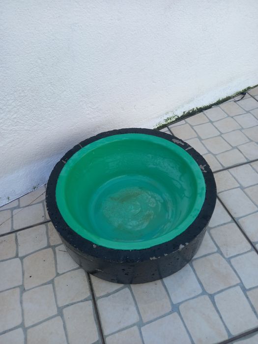 Taça  ds animais