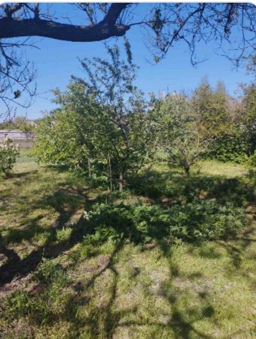 Продам будинок з великою ділянкою в Обухівці біля лісу