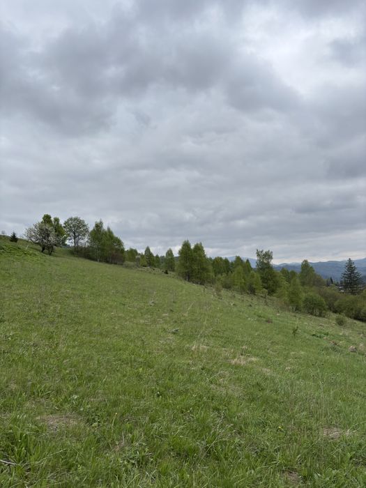 Продаж землі в карпатах