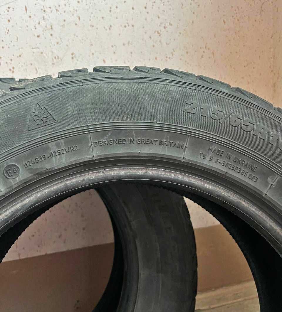 Зимові шини Premiorri ViaMaggiore Z Plus 215/65 R16 98H