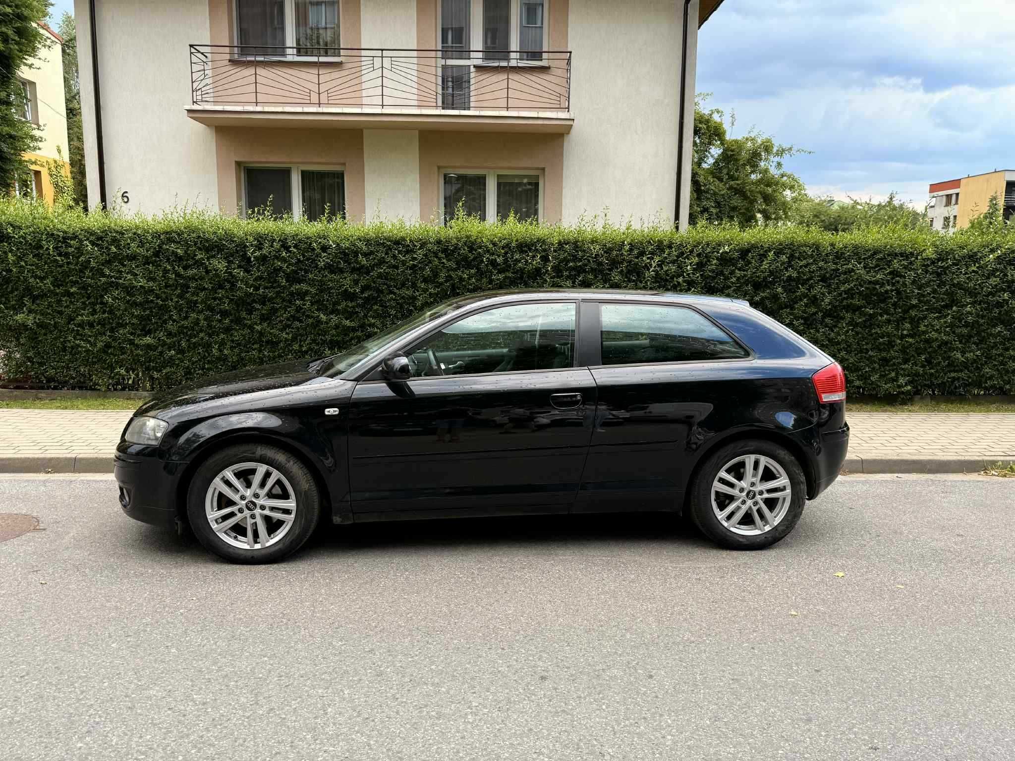 Audi A3 8P 1.9 TDI