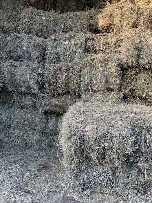 Продам сено луговое .