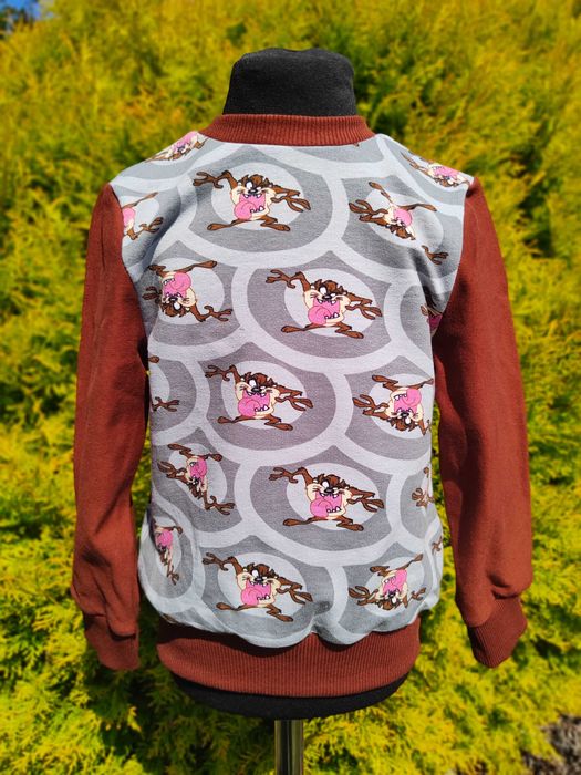 bluza dresowa dla chłopca 92 98 diabeł tasmański cynamonowa handmade