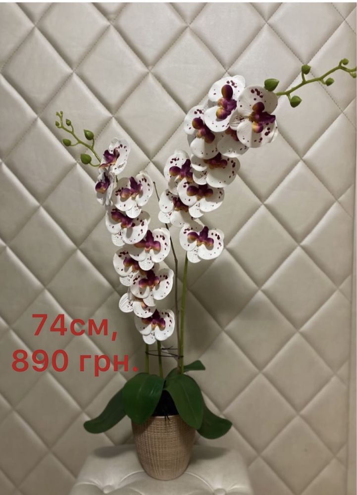 Орхидеи латексные