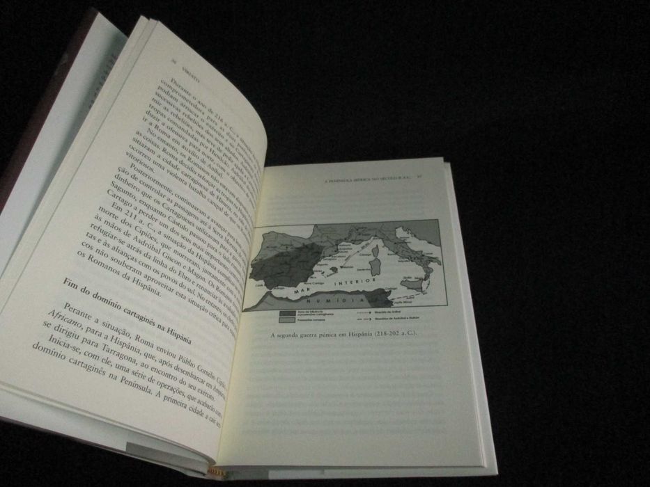 Livro Viriato Mauricio Pastor Muñoz