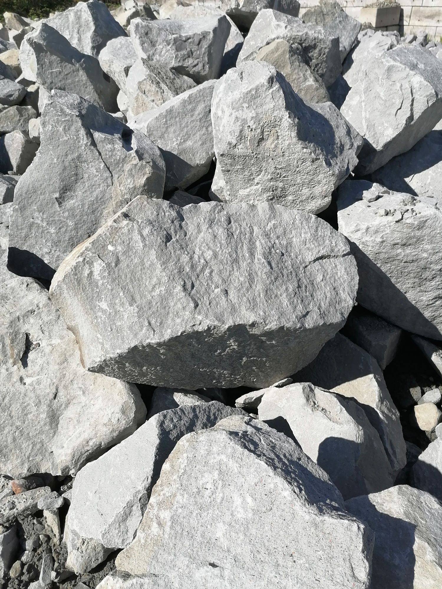 Kamień ogrodowy ozdobny naturalny  głazy