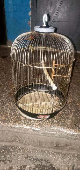 Обменяю  клетку(продам)