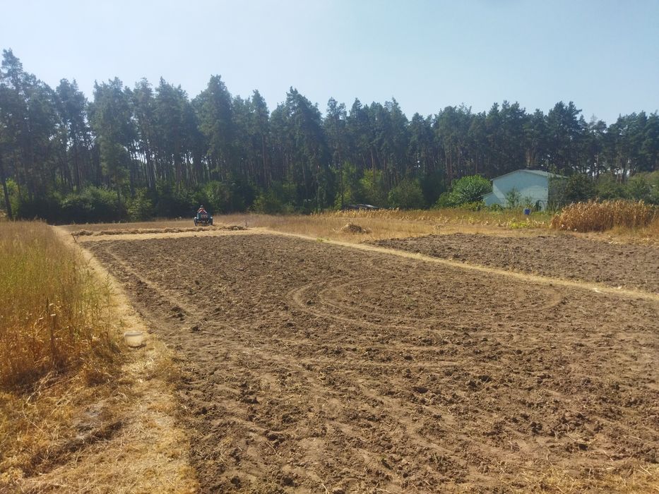 Земельна ділянка