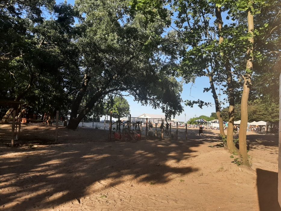 Pokoje nad morzem