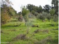 Terreno  para venda