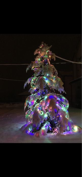 Sylwester !!! Bieszczady, Solina