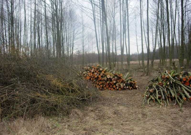 Rębak mielenie gałęzi karczowanie działek usługi rębakiem Ścinka drzew