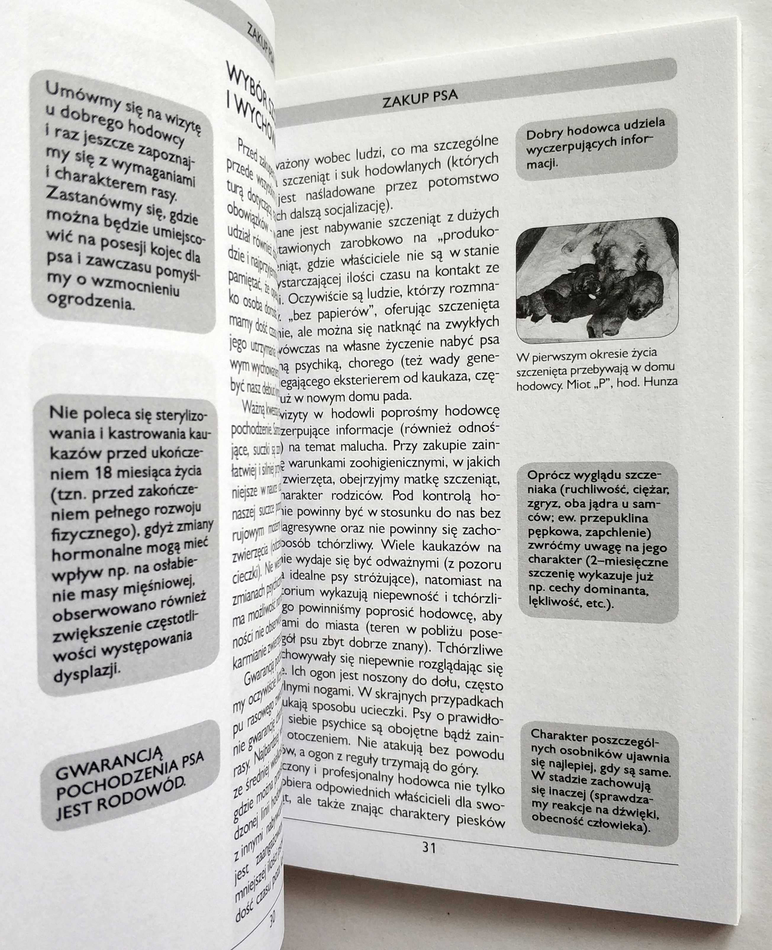Owczarek kaukaski, Joanna Zarzyńska, NOWA! UNIKAT!