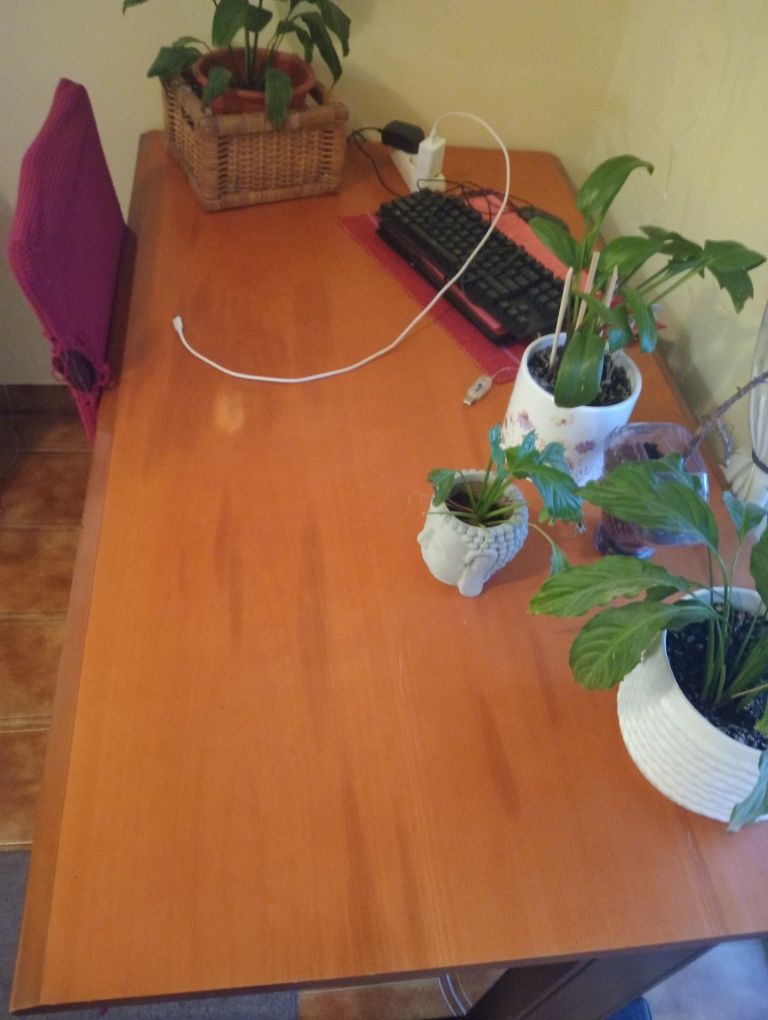 Secretaria de madeira