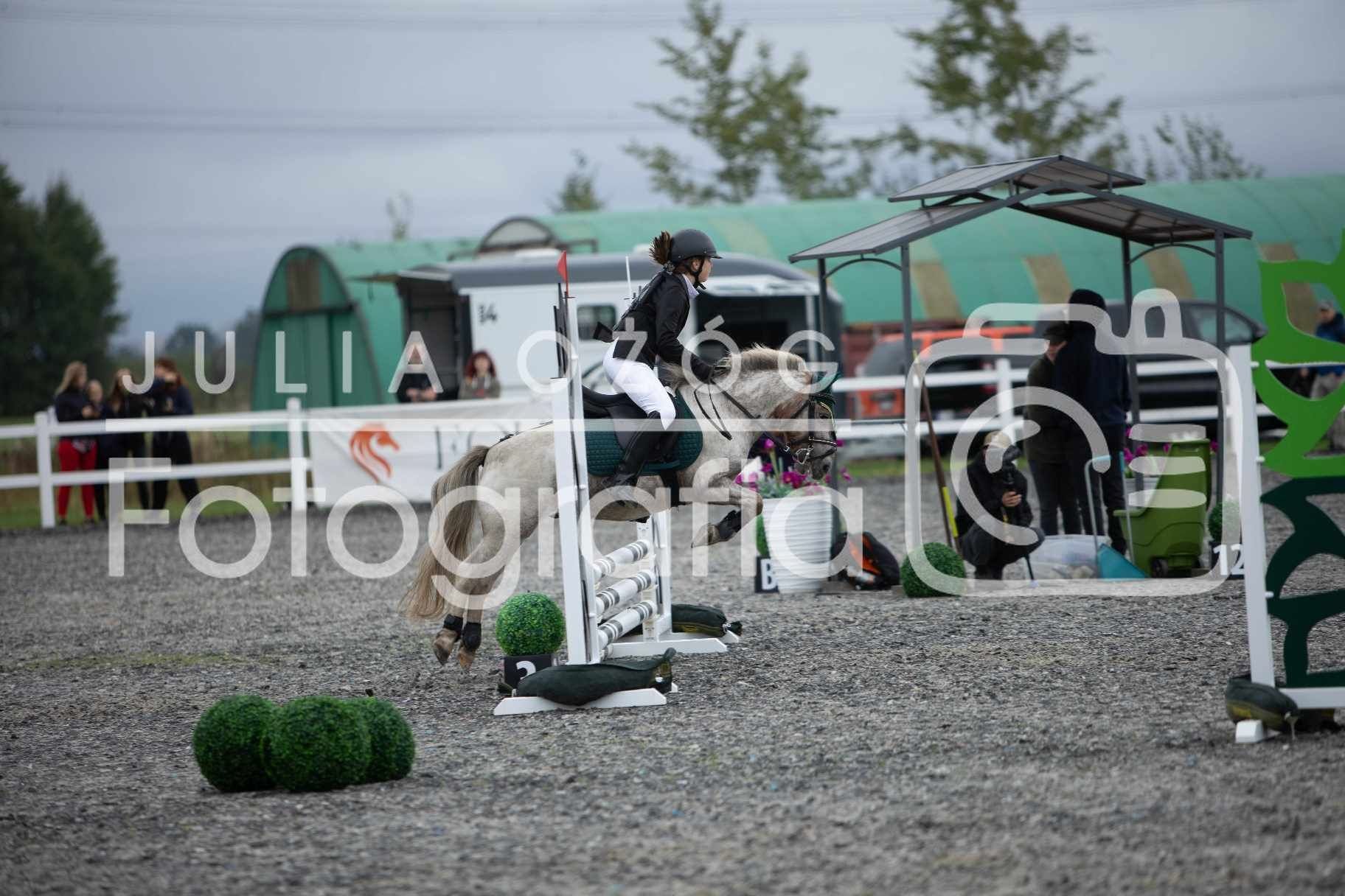 Cavaliadowy kucyk do sportu