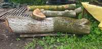 Orzech włoski kłoda pień drewno 250 cm 50-60 cm średnica