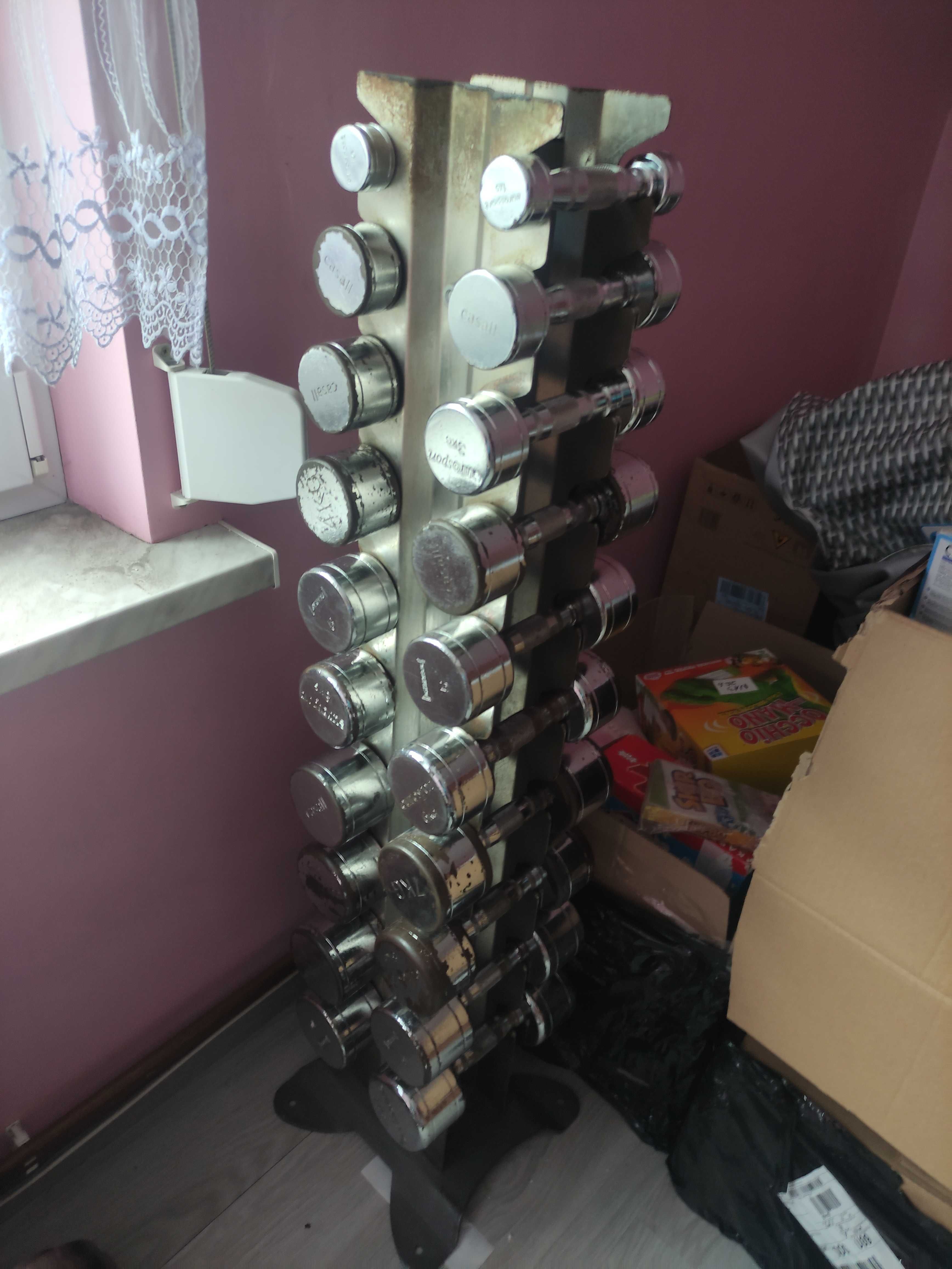 Zestaw hantli hantle 1-10kg stojak pionowy hantelki