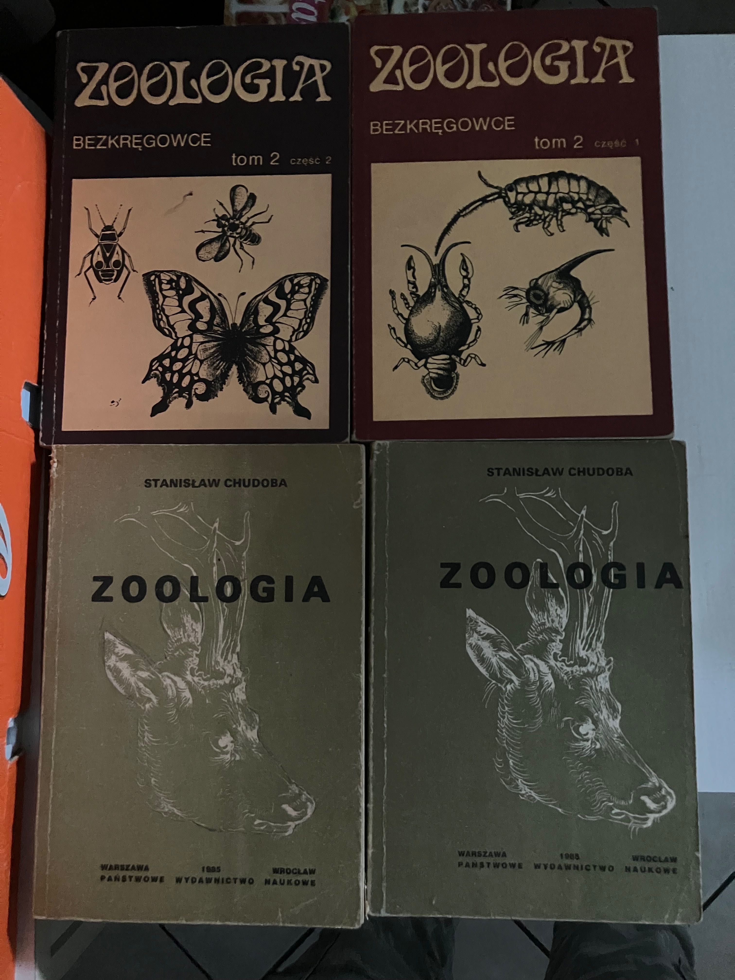 Książki o tematyce medycznej, medycyna 32 sztuki