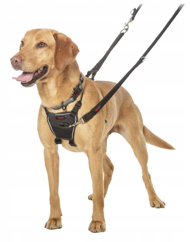 Szelki • Uprząż dla psa Company of Animals „Halti” Rozmiar M - 34-56cm