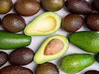 Venda de Abacates Biológicos e Caseiros. - 2.5€/Kg