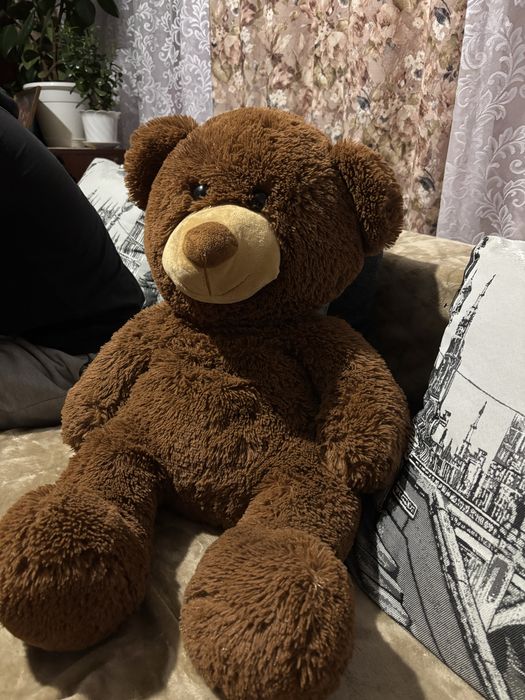 Ведмедик плюшевий мʼякий