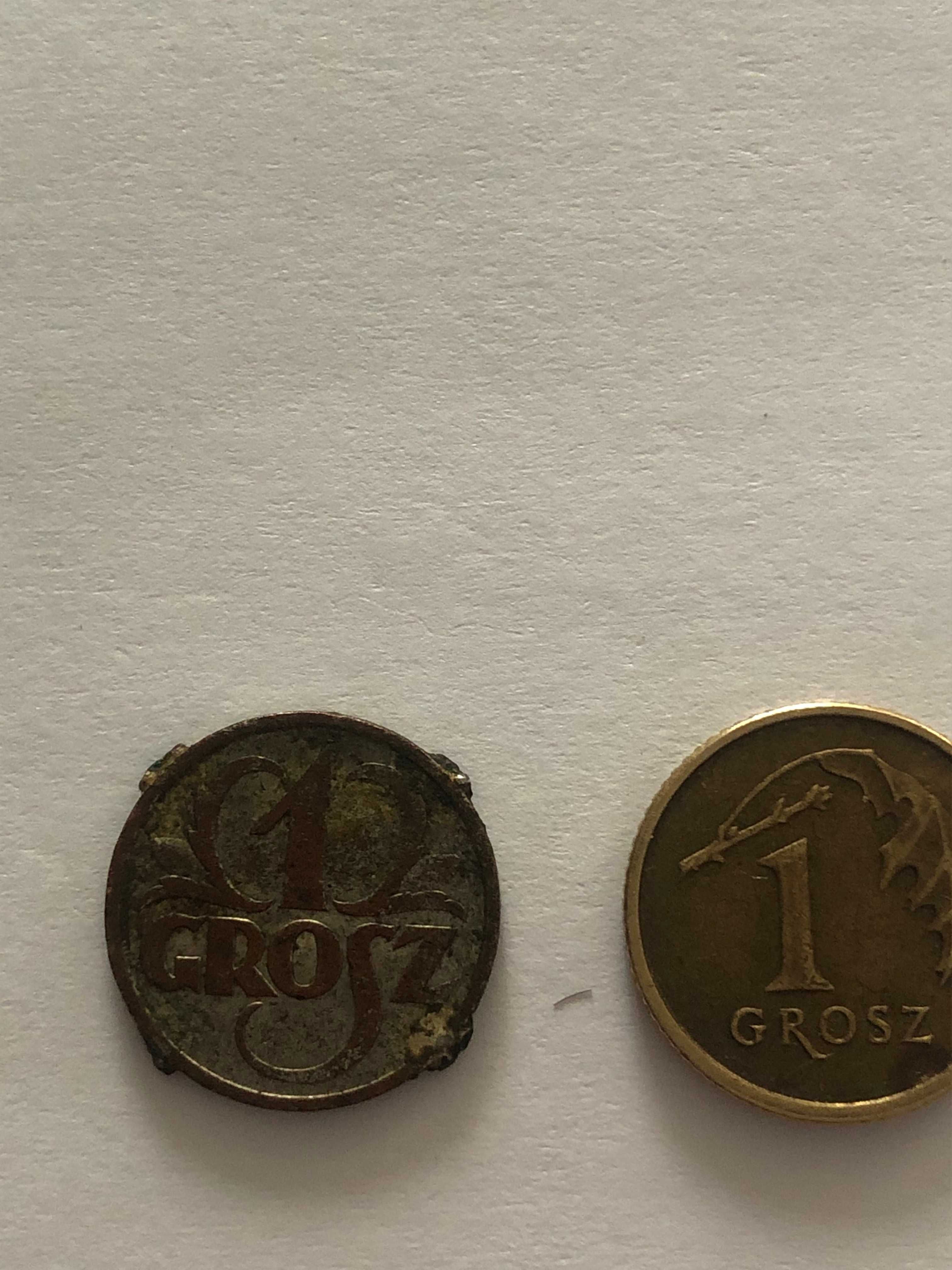 wyjątkowa moneta jeden grosz