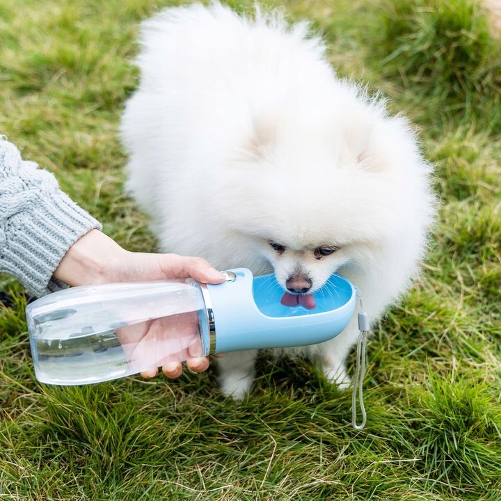 Poidło Dla Psa Bidon Z Miską Na Wodę 380ml