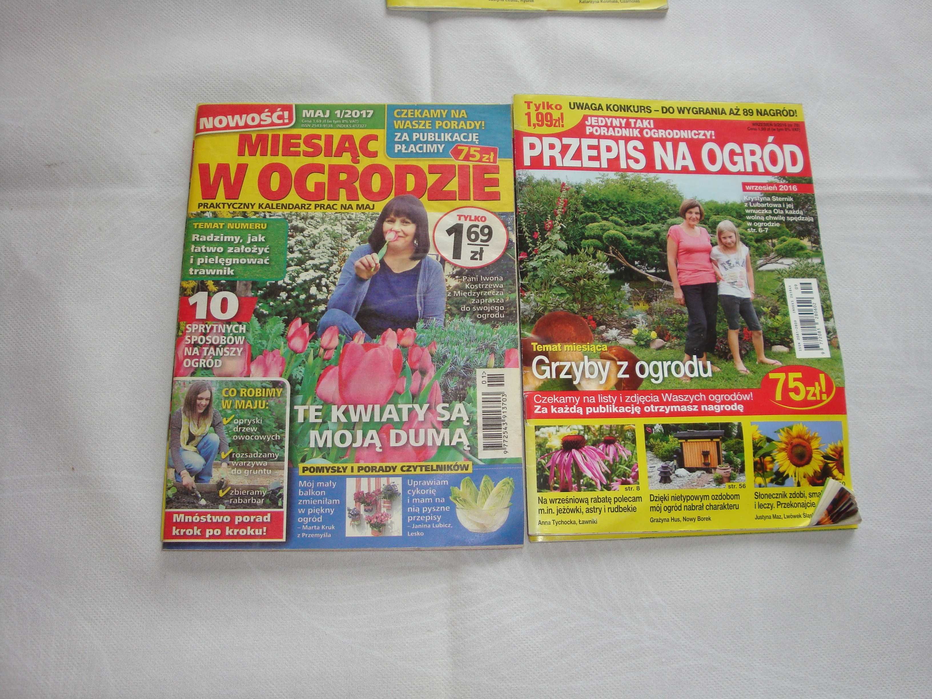 Czasopismo Przepis na ogród   7  sztuki