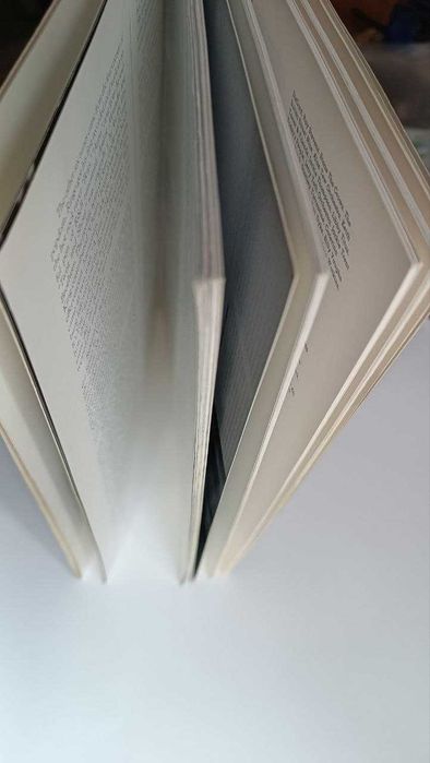 The Beatles book