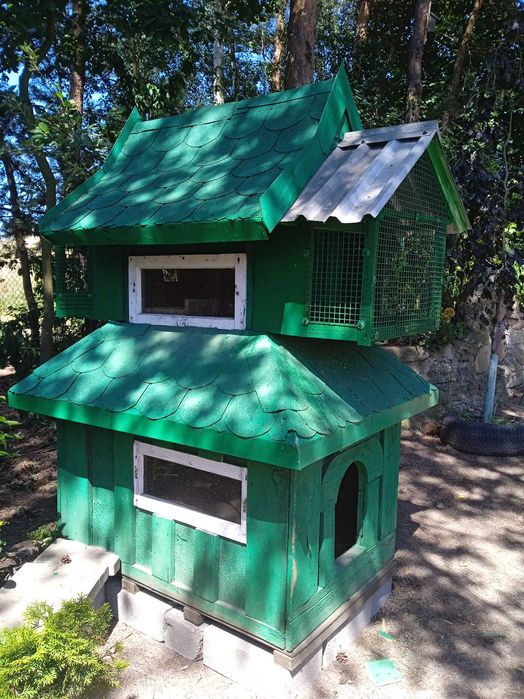 Buda dla psa z Gołębnikiem