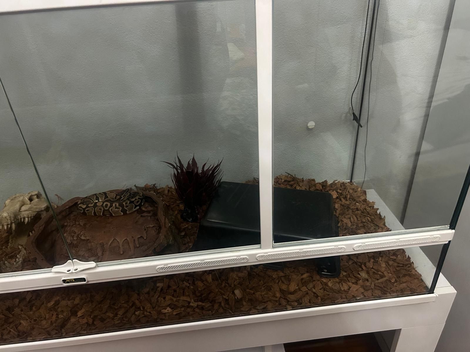 terrário praticamente novo com tudo incluido